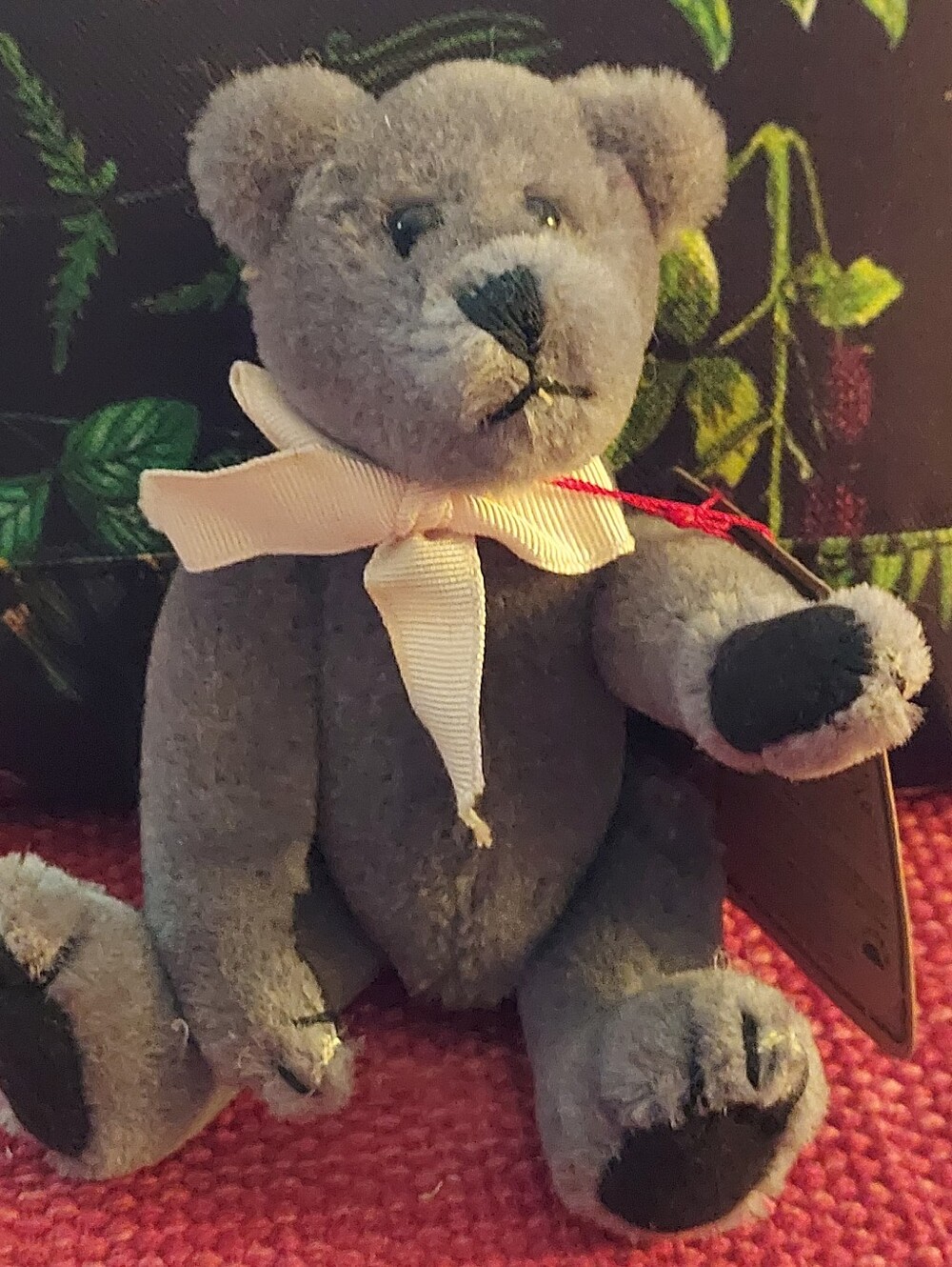 Boyd's Franz Von Bruin Bear